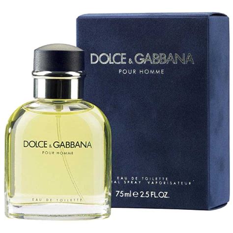 dolce gabbana homme edt|Dolce & Gabbana pour homme review.